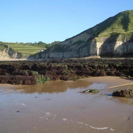 Spacious With Garden Near Sea