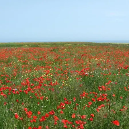 North Sea Family Haven Sainte-Honorine-des-Pertes