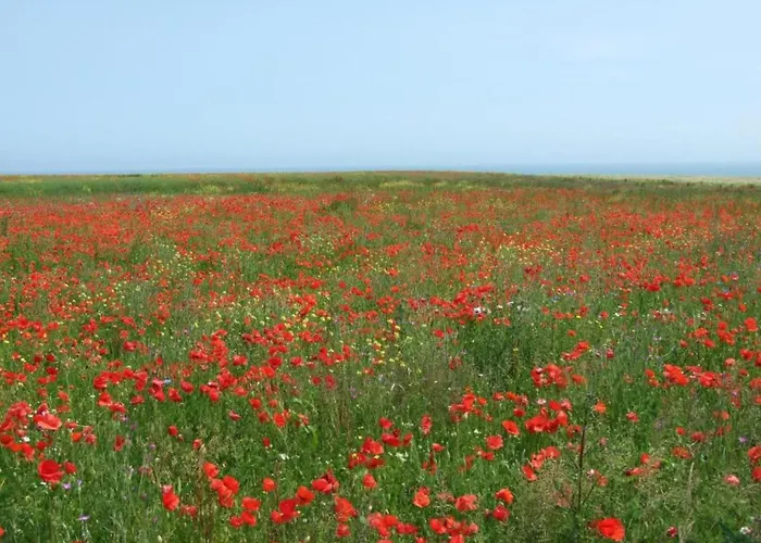 North Sea Family Haven Sainte-Honorine-des-Pertes